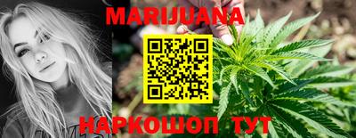 гидра Будённовск