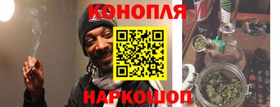 гидра Будённовск