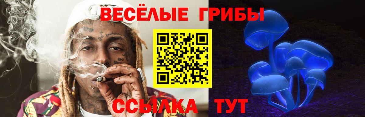 Магнитогорск  Псилоцибиновые грибы GOLDEN TEACHER  Вход с VPN  Псилоцибиновые грибы Psilocybe 